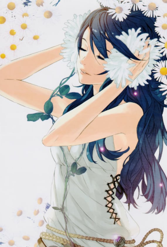 Fire Emblem Awakening Lucina Poster 13x19 