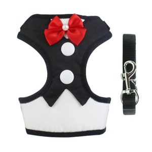 Dog Chest harness Black , Red or Blue leash set