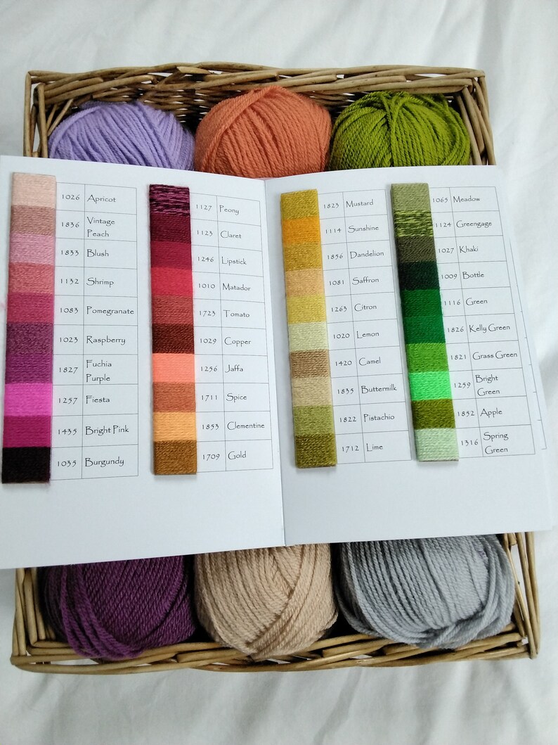 Stylecraft Special DK Shade Card 100 Shades for Colour Etsy UK