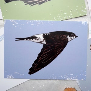 May include: A black and white illustration of a bird with a white patch on its chest, flying against a light blue background. The bird has a long, pointed beak and a long, slender body. The illustration is on a card with a white border.