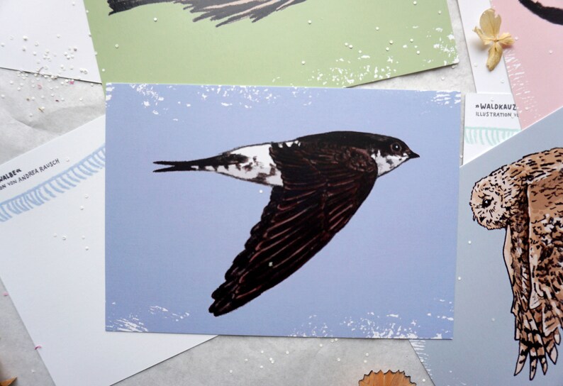 May include: A black and white illustration of a bird with a white patch on its chest, flying against a light blue background. The bird has a long, pointed beak and a long, slender body. The illustration is on a card with a white border.
