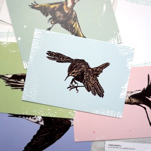 May include: A set of five postcards featuring black and white illustrations of birds. The postcards are printed on white cardstock with a light blue, green, pink, and purple background.