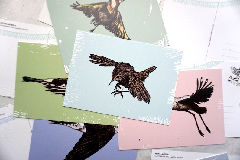 May include: A set of five postcards featuring black and white illustrations of birds. The postcards are printed on white cardstock with a light blue, green, pink, and purple background.