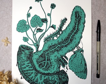 Bauchspeicheldrüse - Original Siebdruck Grafik