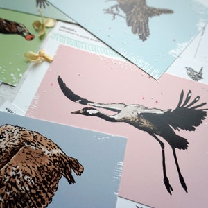 May include: A set of five postcards featuring different bird illustrations. The postcards are printed on a textured paper with a subtle speckled pattern. The birds are depicted in a minimalist style with black ink on a colored background. The birds include a crane, an owl, a robin, a blue jay, and a sparrow.