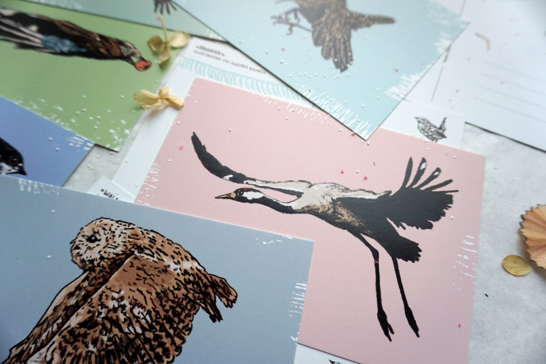 May include: A set of five postcards featuring different bird illustrations. The postcards are printed on a textured paper with a subtle speckled pattern. The birds are depicted in a minimalist style with black ink on a colored background. The birds include a crane, an owl, a robin, a blue jay, and a sparrow.