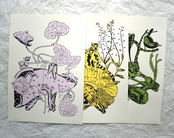 No. 3 Internal organs set - Original Siebruck graphics