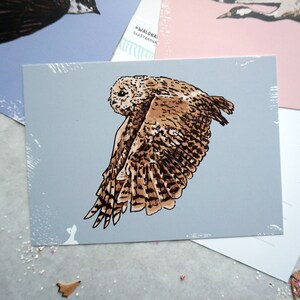 May include: A brown and white owl with its wings spread out in flight against a light blue background. The owl is drawn in a detailed, realistic style.