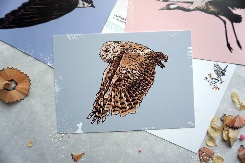 May include: A brown and white owl with its wings spread out in flight against a light blue background. The owl is drawn in a detailed, realistic style.