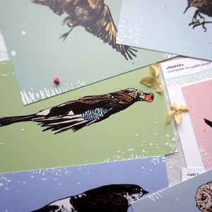 May include: A set of five illustrated cards featuring different birds. Each card has a green, blue, or pink background with white speckles. The birds are drawn in black and white with colorful accents. The cards are perfect for adding a touch of nature to your home decor.
