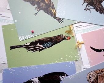 Postkarten Set „Vögel“ mit sieben wunderschönen Vogelillustrationen zum Verschicken