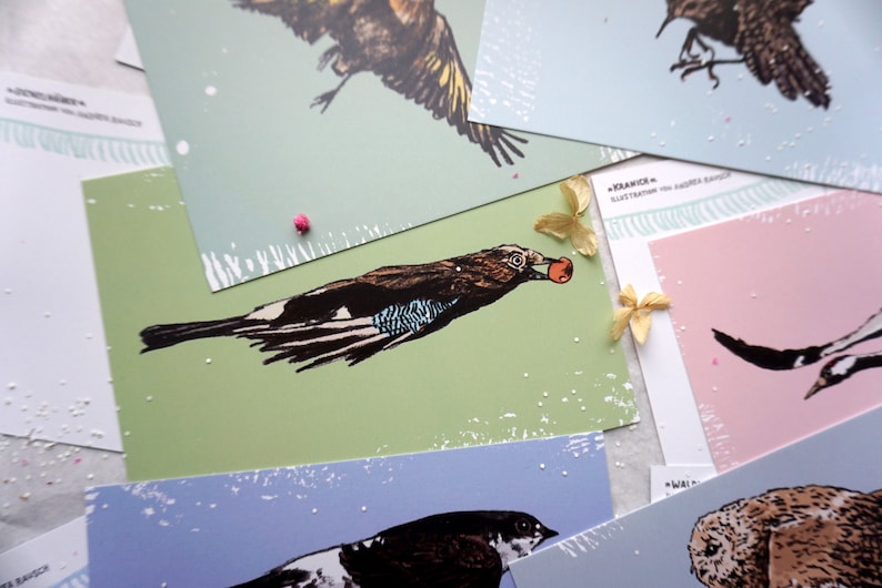 May include: A set of five illustrated cards featuring different birds. Each card has a green, blue, or pink background with white speckles. The birds are drawn in black and white with colorful accents. The cards are perfect for adding a touch of nature to your home decor.