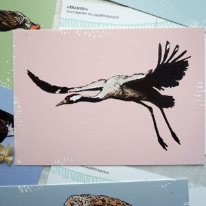 May include: A pink postcard with a black and white illustration of a crane in flight. The text "KRANICH" and "ILLUSTRATION VON ANDREA RAUSCH" is printed on the postcard.