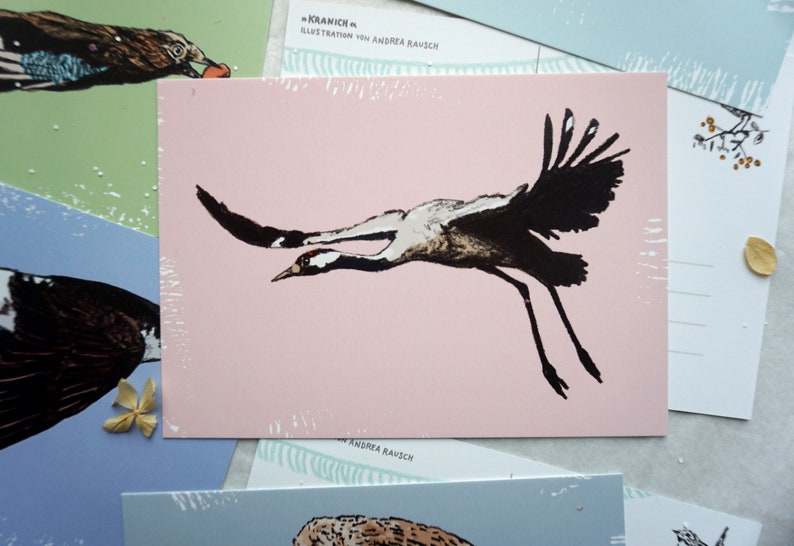 May include: A pink postcard with a black and white illustration of a crane in flight. The text "KRANICH" and "ILLUSTRATION VON ANDREA RAUSCH" is printed on the postcard.