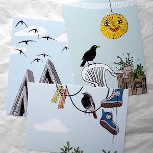 Set carte postali - Vögel in der Stadt