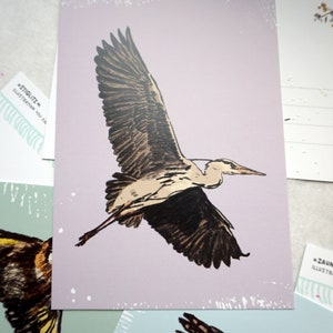 May include: A close-up of a postcard featuring a detailed illustration of a grey heron in flight against a light purple background. The heron has brown and black markings on its wings and body. The postcard is decorated with white dots.