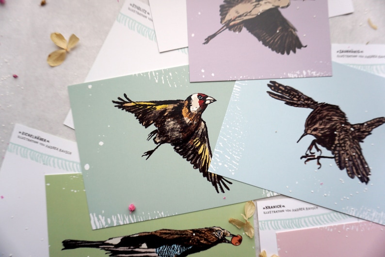 May include: A set of five illustrated postcards featuring different birds in flight. The birds are drawn in a vintage style with black ink and watercolor washes. The postcards are printed on a textured paper with a white background. The text on the postcards reads "Illustrations by Andrej Radic".