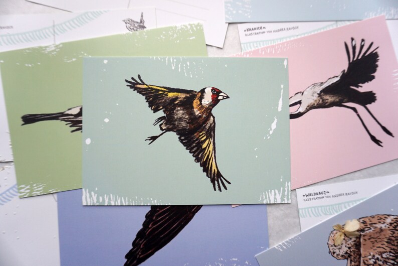 May include: A set of five illustrated cards featuring different birds. The cards are printed on a textured paper with a light green, light blue, pink, and purple background. The birds are drawn in black ink with details in yellow, red, and brown.
