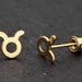 see more listings in the 14K GOLD - ZODIAC section