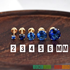 September Birthstone Blue Sapphire CZ Stud 14k Gold Earrings, Solid Gold Screw Back Earrings, Earrings for Girls, Children 14k Gold Earrings