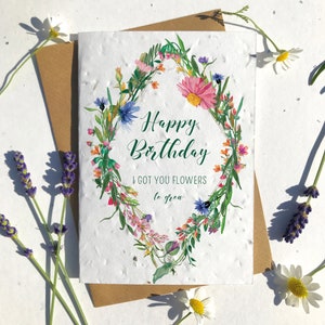1 x Eco-Friendly Biodegradable Seed Paper carte d’anniversaire plantable fleurs sauvages drôles