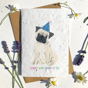 1 x Eco-Friendly Biodegradable Seed Paper carte d’anniversaire plantable mignon carlin beige
