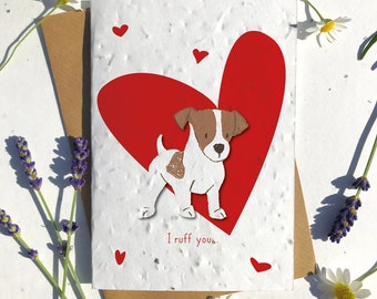 1 x Eco-Friendly Biodegradable Seed Paper plantable Valentine’s and Anniversary Card Jack russell terrier lovers cute