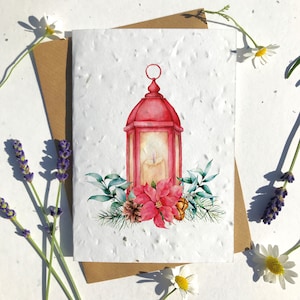 Carta semi biodegradabile Festività natalizie biglietto d'auguri tradizionale poinsettia