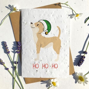 Biologisch afbreekbaar zaad papier kerst feestelijke seizoen groeten kaart traditionele chihuahua bruin bruin