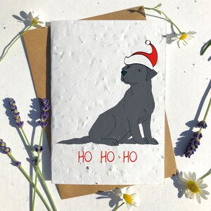 Biodegradable seed paper Christmas festive season greetings card traditional black labrador