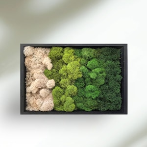 Moss Wall Art 12x8 Framed Black Wood Artwork Decor Preserved Live Green Reindeer Tree Plant Home