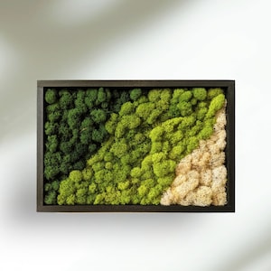 Moss Wall Art 12x8