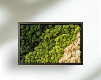 May include: A framed moss wall art piece with a black frame. The moss is a mix of green and light green, with a section of white moss in the bottom right corner.
