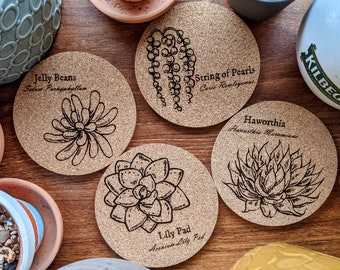 Succulent Cork Coaster - Set of 4 | String of Pearls, Lily Pad, Jelly Beans, and Haworthia