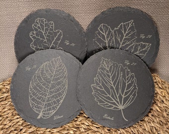 Pressed Leaf Slate Coasters - Set of 4 | Oak, Elm, Maple, and Birch