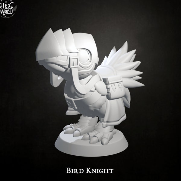 Bird Knight | Tabletop RPG Miniature