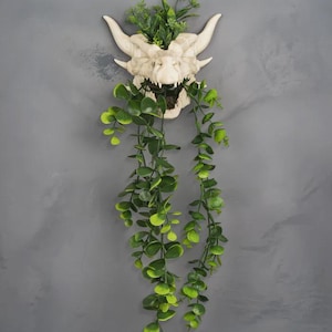 May include: A cream-coloured dragon skull wall planter, filled with green plants and trailing vines. The skull has horns and detailed features. The planter is designed to be mounted on a wall, adding a unique decorative element to any space.