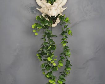 Maceta de calavera de dragón / Maceta colgante de fantasía gótica para enredaderas y suculentas / Decoración mítica