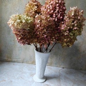 May include: A bouquet of dried hydrangea flowers in shades of muted pink, mauve, and pale green, arranged in a white milk glass vase. The vase features a textured, embossed pattern of grapes and leaves on its exterior surface and a flared rim.