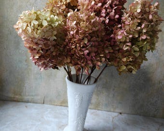 Dried Hydrangeas/ 10 Stems / Dark Mauve, Tan, Mauve, Pink, Brown - Wedding -Organic Vanilla Strawberry Paniculata Hydrangea
