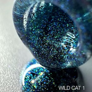 Saga Aqua Rainbow Cat Gel Polish Galaxy Holo Magnetic Nails Holographic Prism Nail Art