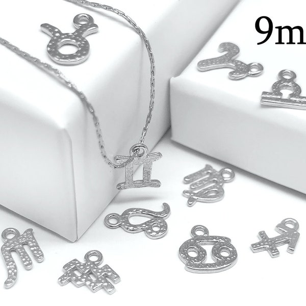 1pc Sterling Silver 925 Charm Astrological Zodiac symbols, Horoscope Symbol, Greek Zodiac Sign Pendant, Charms For Bracelet JBB Findings