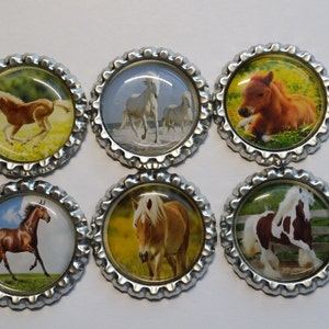 Set of 6 Horse Themed Finished Bottle Caps - Magnets - Necklaces
