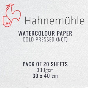 HAHNEMUEHLE HARMONY WATERCOLOR PAPER - 10 SHEET PACK 19.7x25.6 COLD PRESSED  140 LB 300 GMS HA10627510