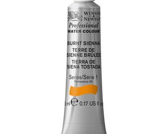 May include: A tube of Winsor & Newton Professional Water Colour in Burnt Sienna. The tube is silver with a white cap and a label with the brand name, color name, and series number. The paint is a vibrant orange color.