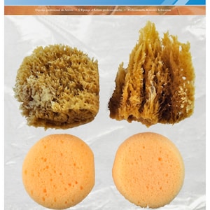 Może przedstawiać: Cztery naturalne gąbki morskie do malowania. Dwie są duże i brązowe, a dwie są małe i pomarańczowe. Gąbki są ułożone w kwadrat na białym tle. Opakowanie zawiera napis "Professional Artist Sponge" i "Use With: Acrylics, Oils, Watercolors & Fabric Paints or Dyes".