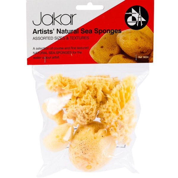 Jakar Natural Sea Sponge Assorted Set for Painting