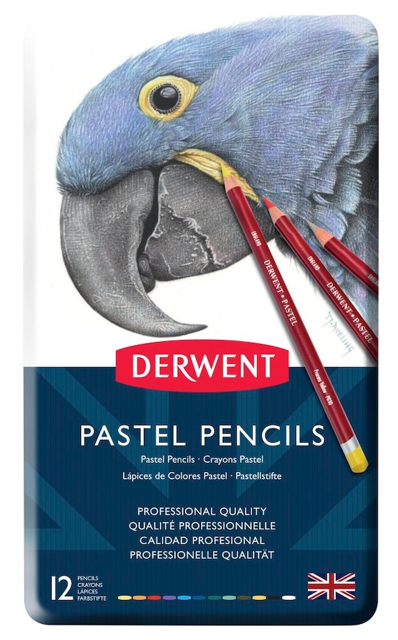 Derwent Professional Pastel Pencils 12 Tin Set - Etsy