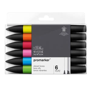 Winsor & Newton Promarker Twin Tip Graphic Marker Set da 6