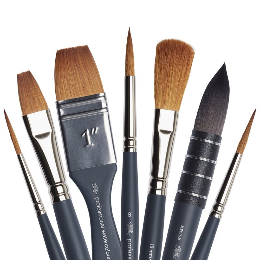 Lot of 5 varies size Winsor & Newton Cotman level 1 watercolor paint brushes